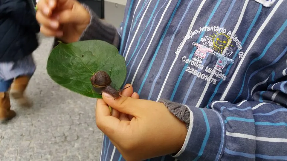 Mão de criança a segurar uma folha com um caracol
