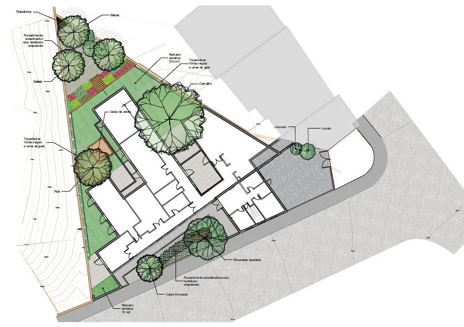 Projeto do jardim: plano geral