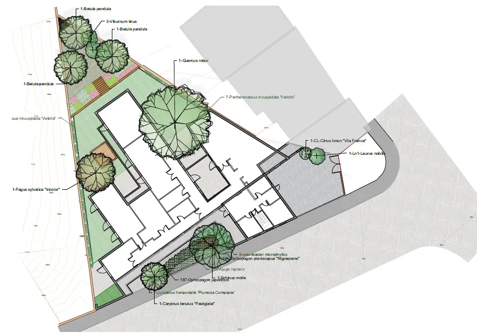 Projeto do jardim: plantações